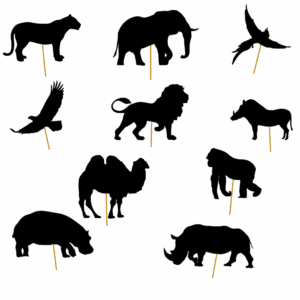 teatrzyk cieni Afryka